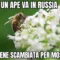 LE MIGLIORI BATTUTE DI APRILE 2026 #2